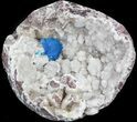 Bright Blue Cavansite Crystals on Micro Stilbite - India #44808-1